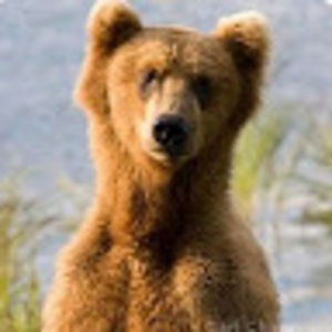 Meet your Posher, Thomas